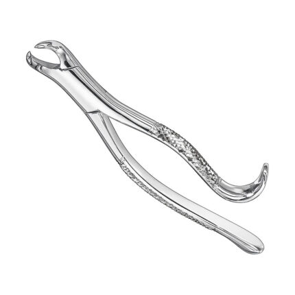 Extracting forceps, american patt., sz.16
