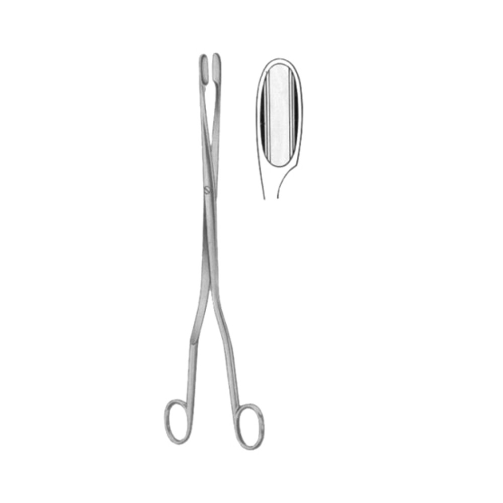 Winter Placenta Ovum Forceps SJ Straight 28cm/11" 1 Winter Placenta Ovum Forceps SJ Straight 28cm/11"