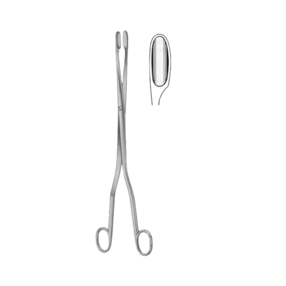 Winter Placenta Ovum Forceps SJ Curved 28cm/11" 1 Winter Placenta Ovum Forceps SJ Curved 28cm/11"