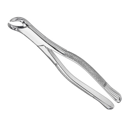 Extracting forceps, american patt., sz.23