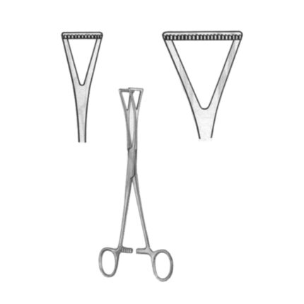 Duval Organ Grasing Forceps BJ 23cm/9"