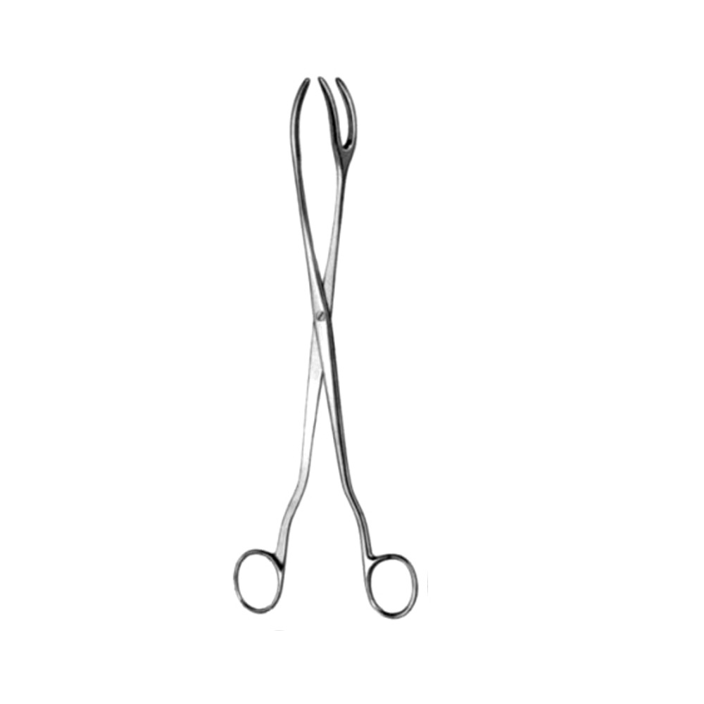 Sterilizing Fcps 1x2pr 20cm 1 Sterilizing Fcps 1x2pr 20cm