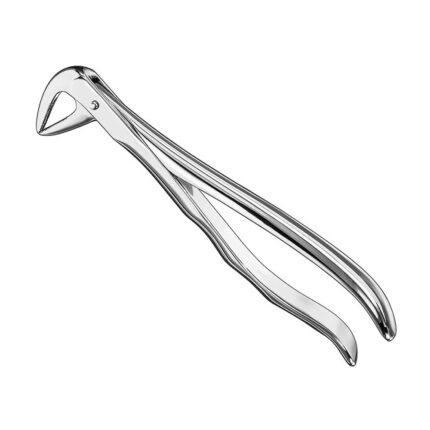 Extracting forceps, anat., size 74 N