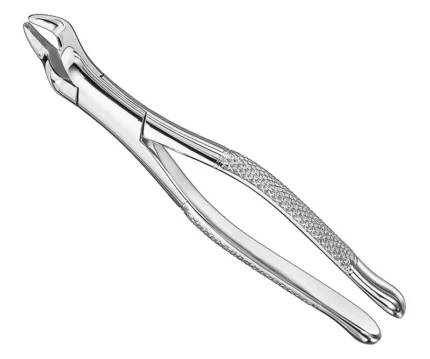 Extracting forceps, american patt., sz.10S