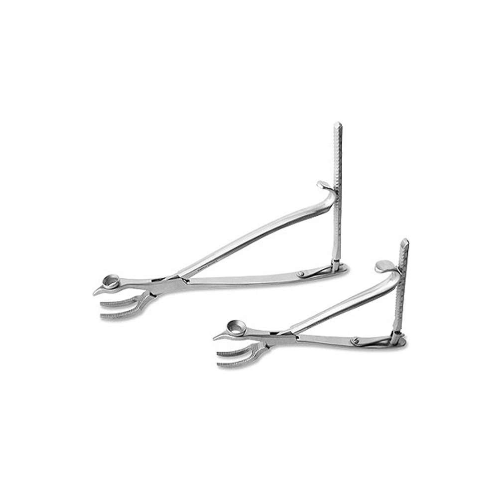 Foot & Ankle 1 Foot & Ankle